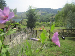 Le Spighe Agriturismo Cesena